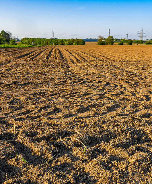 A view of an agricultural field in a rural area captured on a bright sunny day