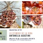 FLYER AGOSTINI