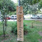 WhatsApp Image 2026-03-26 at 4.43.24 PM (3)