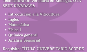CONVOCATORIA (1) CONVOCATORIA (1)