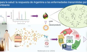 Innovando en Aregentina contra el dengue