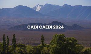 dic_cadi-caedi-2024